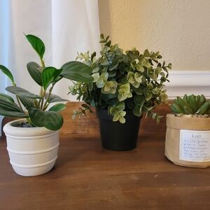 Artificial Eucalyptus Plant in Green Pot - Home Accents